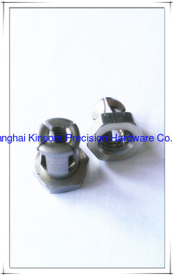 Special expansion bolts&nuts ,Anchoring,hex stainless steel nut,customized special screw